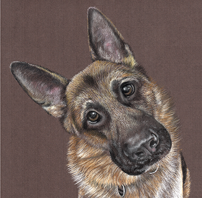 Fine art greeting card - German Shepherd