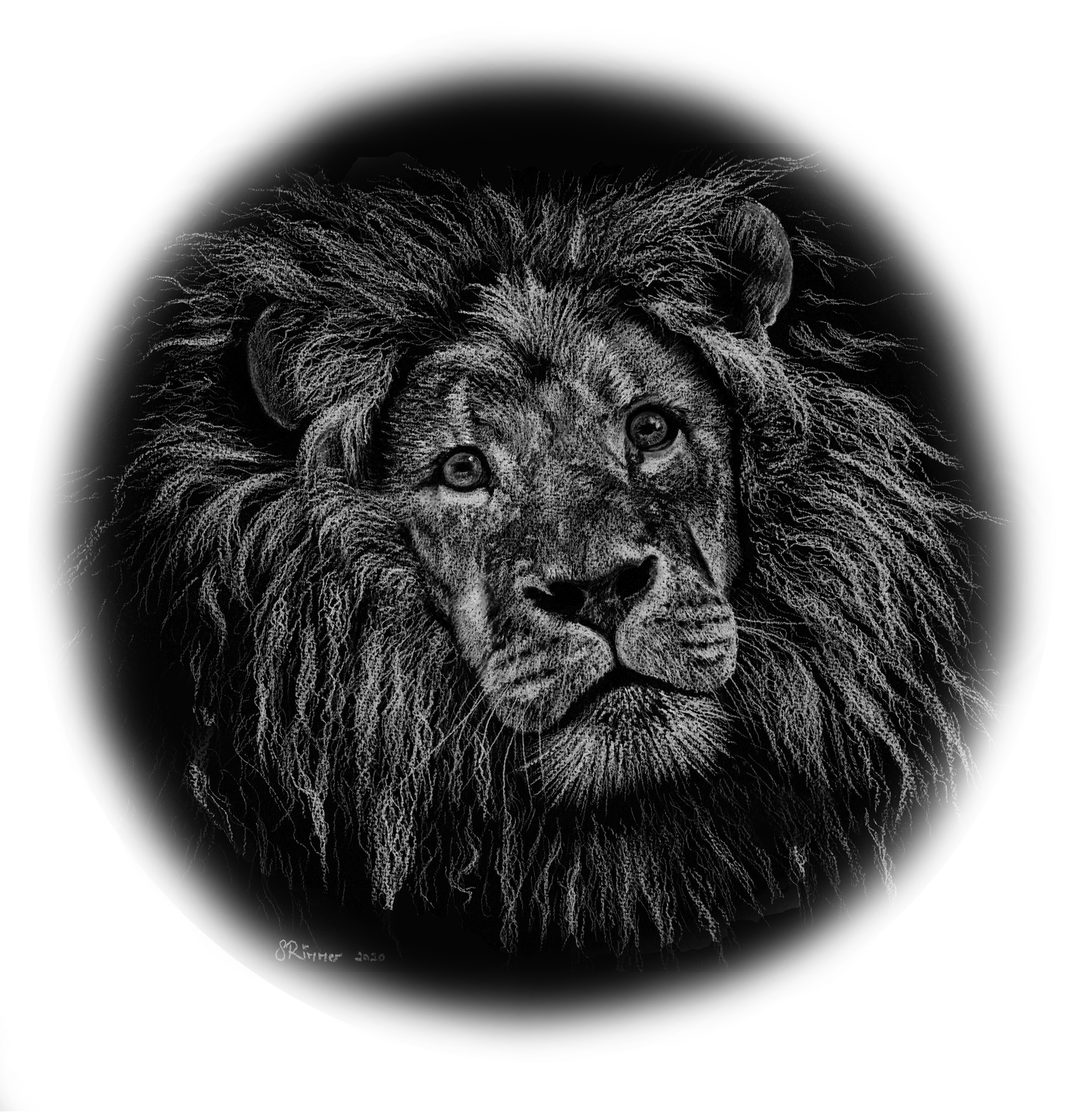 Fine art greeting card - Lion