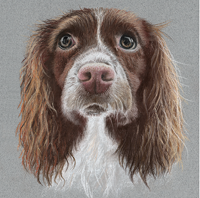 Fine art greeting card - Spaniel 1