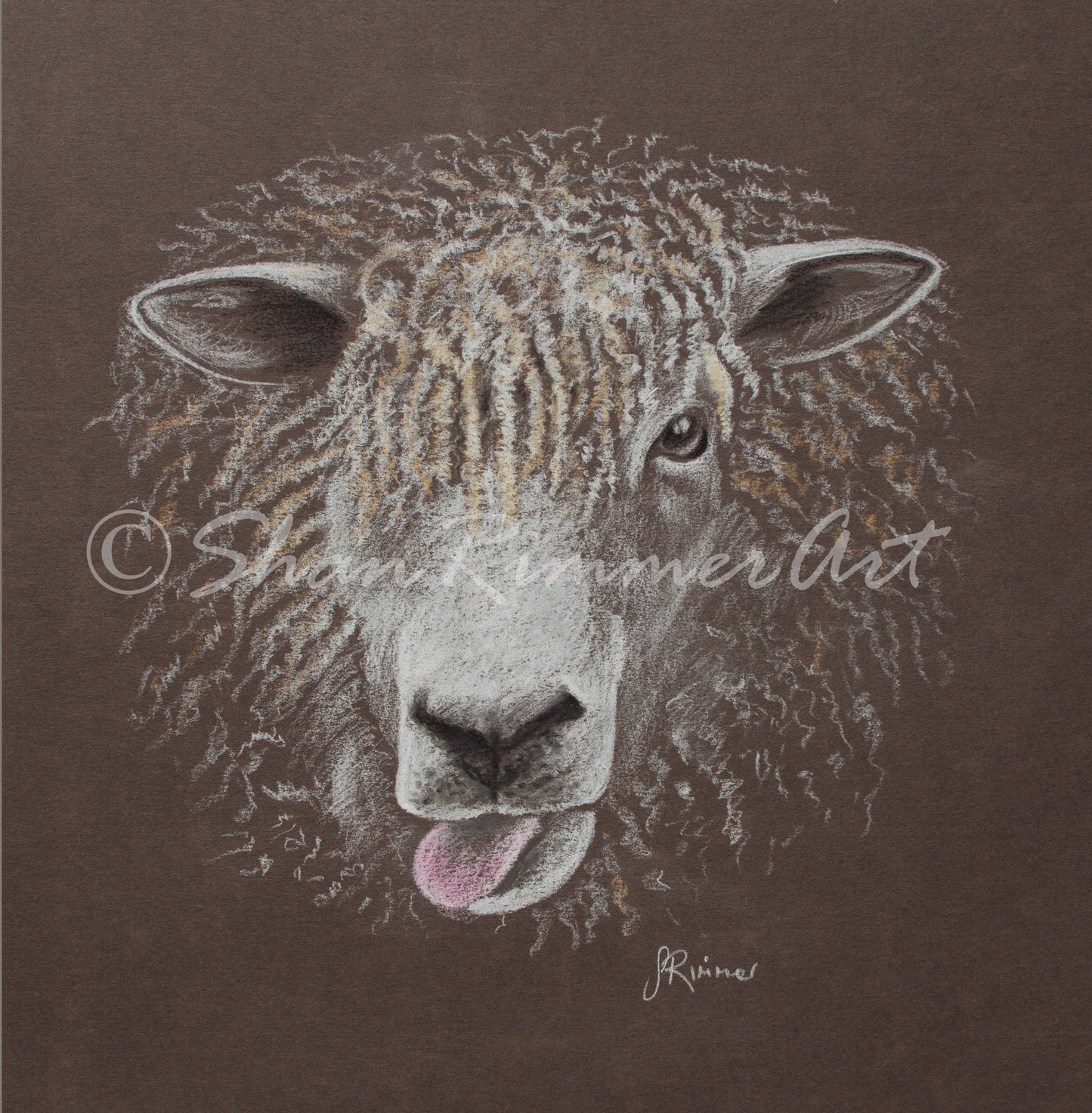 Limited edition Wildlife Print from original pastel drawing- Cheeky Sheep